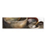 Pharmacist - Pestle and son Bumper Stickers