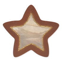 Pharmacist - Specific Medicines Star Sticker