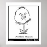 Phattfacia Stupenda. Poster