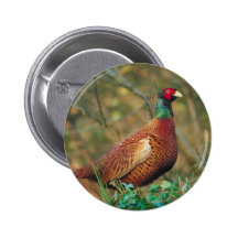 Pheasant in Woodland Buttons
