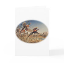 Pheasants Aloft - Great Hunting on the farm