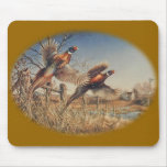 Pheasants Aloft - Great Hunting on the farm