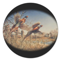 Pheasants Aloft - Great Hunting on the farm