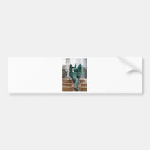 Philadelphia fountain bumper sticker