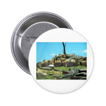 Philadelphia Zoo Button