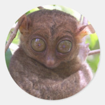 Philippine Tarsier Round Sticker