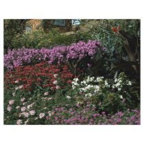 Phlox, monarda, canna, geranium flyer design