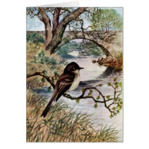 Phoebe and Stone Bridge Over Creek Greeting Card