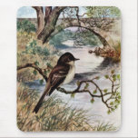 Phoebe and Stone Bridge Over Creek mousepads