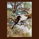 Phoebe and Stone Bridge Over Creek posters