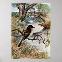 Phoebe et pont en pierre au-dessus de crique posters
