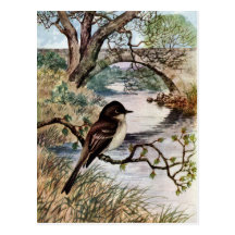 Phoebe et pont en pierre au-dessus de crique carte postale