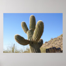 Phoenix, Arizona Poster