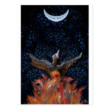 Phoenix Rising Postcard