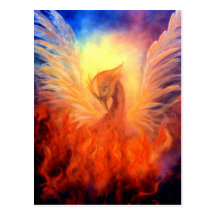 Phoenix Rising Postcard