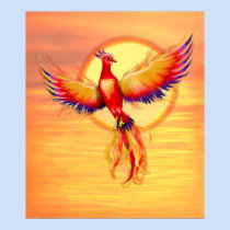 Phoenix Rising posters