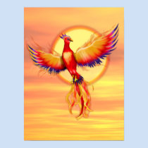Phoenix Rising posters
