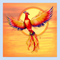 Phoenix Rising - Square posters