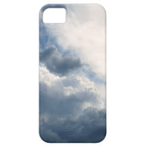 Phone case iPhone 5 cases