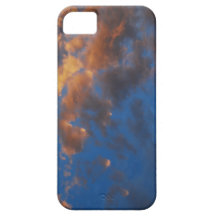 Phone case iPhone 5 cases