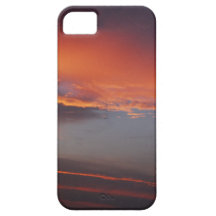 phone case iPhone 5 covers