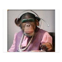 phone monkey post card