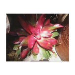 Photo-0017 Postcard