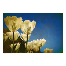 Photo blanche de tulipes avec le motif floral de r