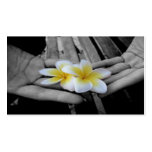 photo, bussiness card, fancy business card
