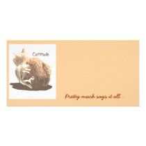 Photo Card- Cattitude