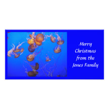 Photo Card: Gold Jellies