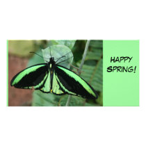 Photo Card: Green Butterfly