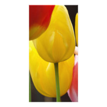 Photo Cards Add Your Own picture & Custom Text