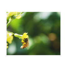 Photo "d'abeille d'Imma" d'abeille sur la toile Toile Tendue