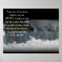 Photo de flocon de neige de ~ de 1:8 d'AIS Posters