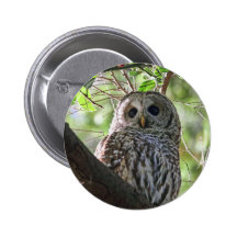 Photo de hibou badge