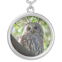 Photo de hibou collier personnalisé