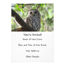 Photo de hibou faire-parts