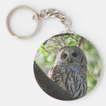 Photo de hibou porte-clé