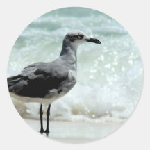 photo d'image d'oiseau de mouette de mouette autocollant rond