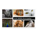 Photo Frame Photography Photographer Business Card business cards