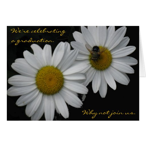 Photo Graduation Invitation--Daisies Greeting Card