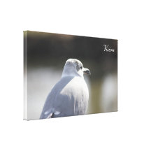 Photo Gull Stretched Canvas Print