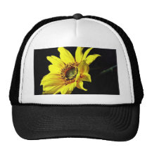 Photo jaune de fleur macro casquette de camionneur