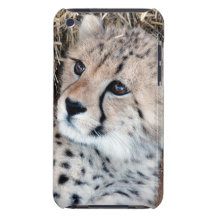 Photo mignonne de CUB de guépard Coque iPod Case-Mate