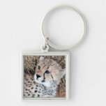 Photo mignonne de CUB de guépard Porte-clefs