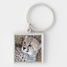 Photo mignonne de CUB de guépard Porte-clefs