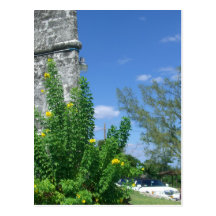 Photo, Nassau, Bahamas Post Card