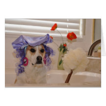 Photo of dog "indulging" in tub card