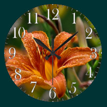 Photo orange de Daylily et de fleur de gouttes de  horloges murales